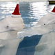 Image for article titled Sarah Palin Won't Save The Whales, So The Feds Do It Instead